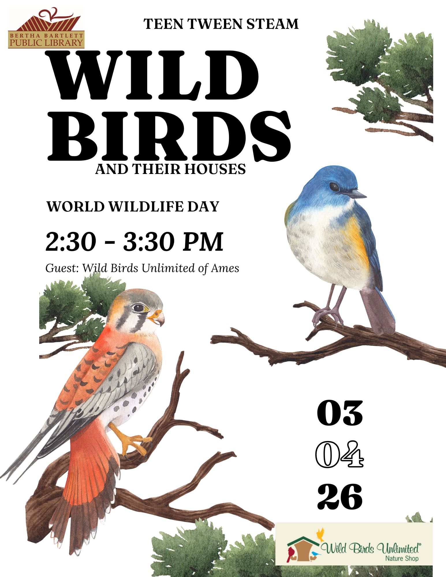 4 March 2026 Wild Birds and Houses.jpg